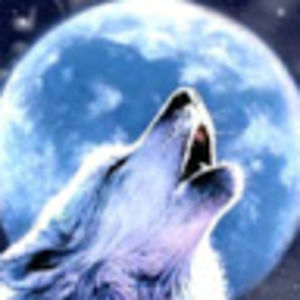 Meet your Posher, Ebony